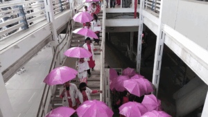 Pink Umbrella Walk at Chennai Airport